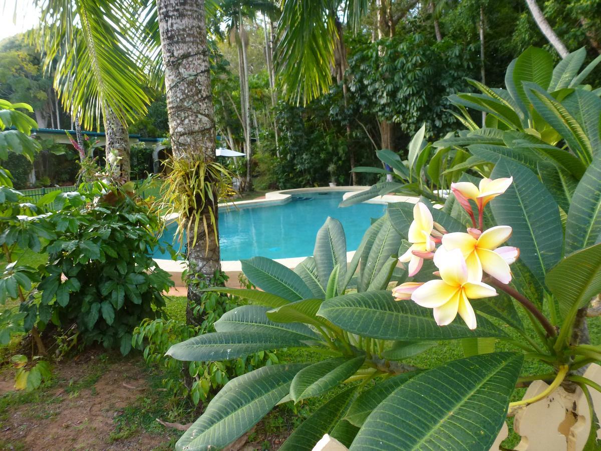 Villa Marine Holiday Apartments Cairns Yorkeys Knob Room photo